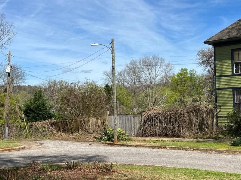 Before: weathered fence buried in vines at the street corner