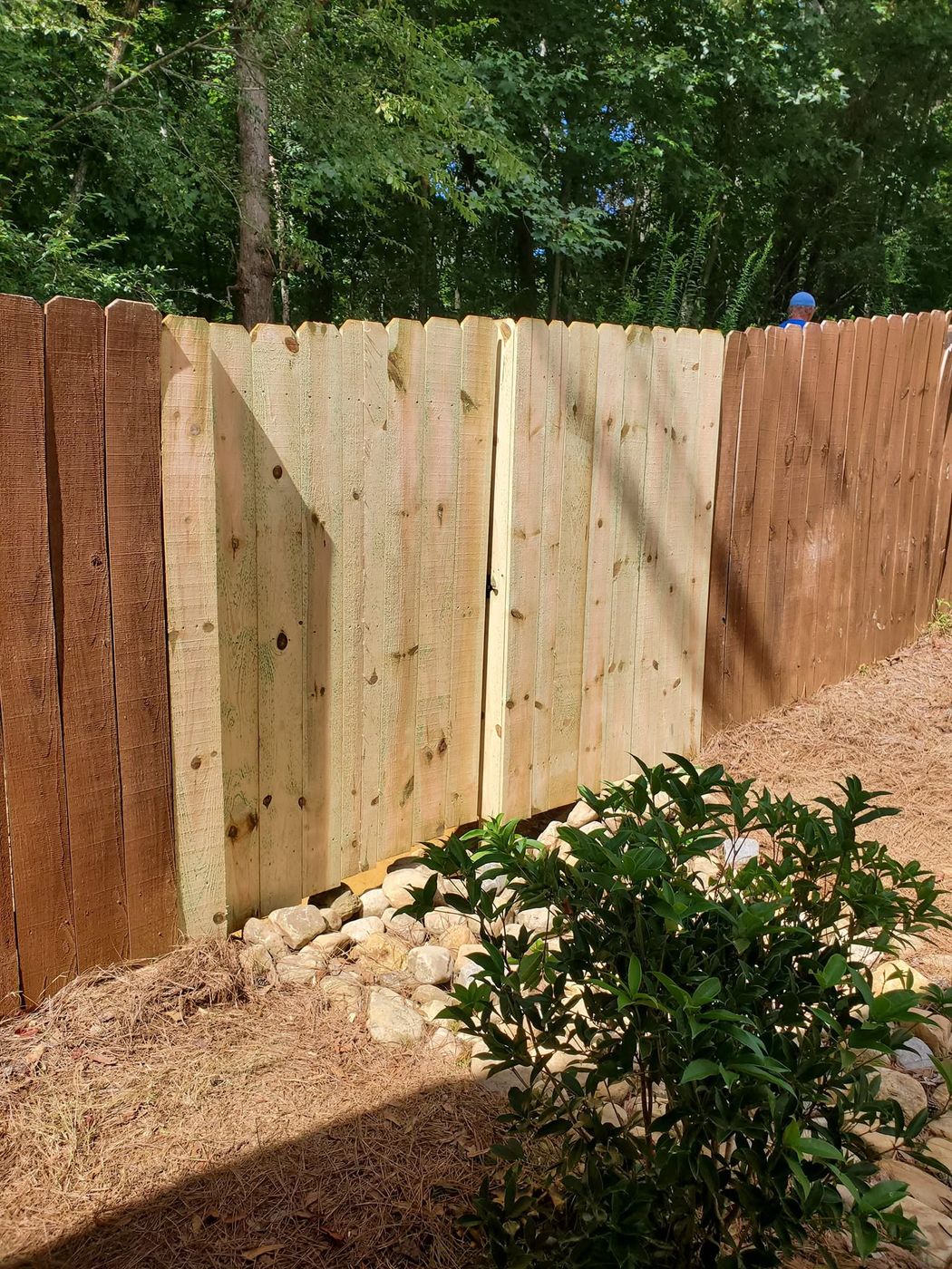 Fence repair with new pressure treated boards spliced in